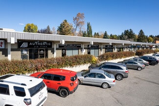 Plus de détails pour 3616 52 Ave NW, Calgary, AB - Commerce de détail à louer