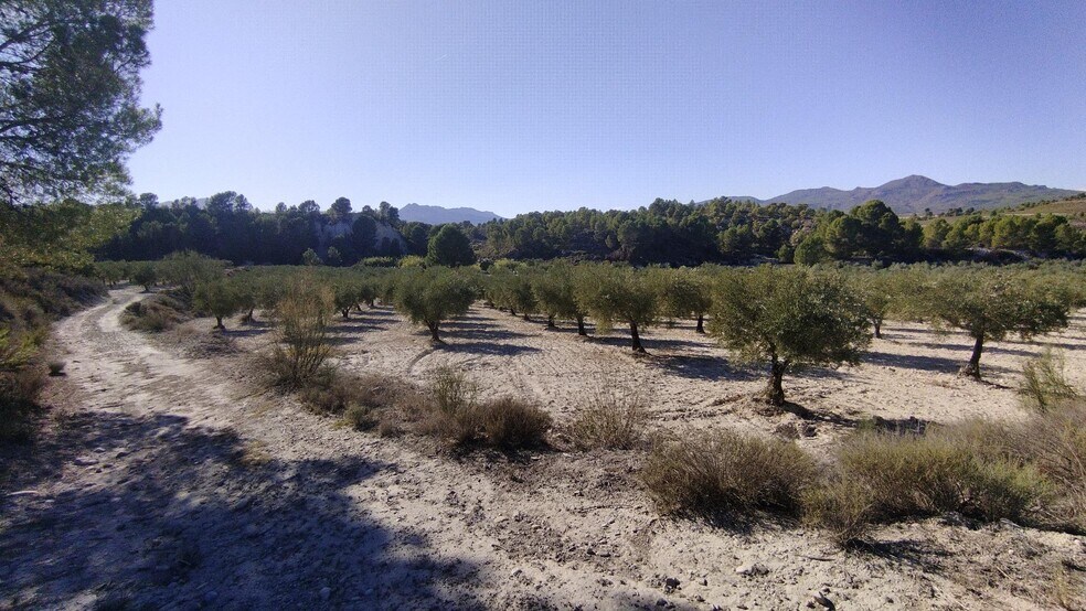 Land in Moratalla, Murcia for sale - Building Photo - Image 2 of 30