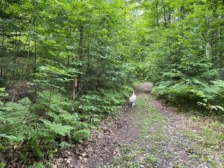 Plus de détails pour TBD off Cooper Lake Road, Ishpeming, MI - Terrain à vendre