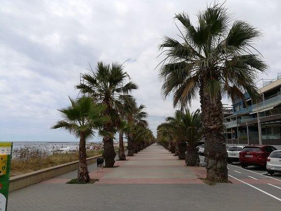 Commerce de détail dans Cubelles, Barcelona à louer Photo intérieure- Image 1 de 11