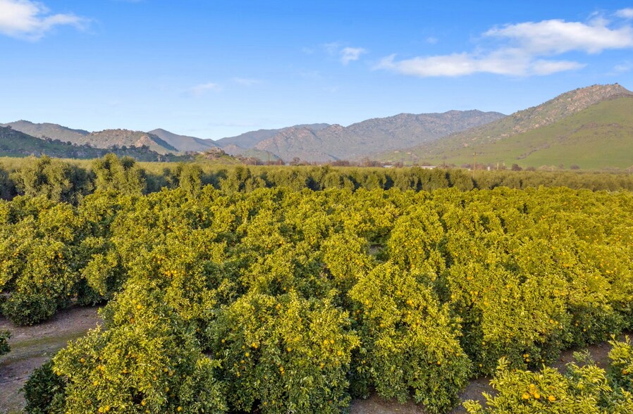 19400 Avenue 398, Woodlake, CA for sale - Building Photo - Image 3 of 15