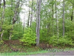 132 W Fiery Hill Rd, Little Falls, NY for sale Primary Photo- Image 1 of 1