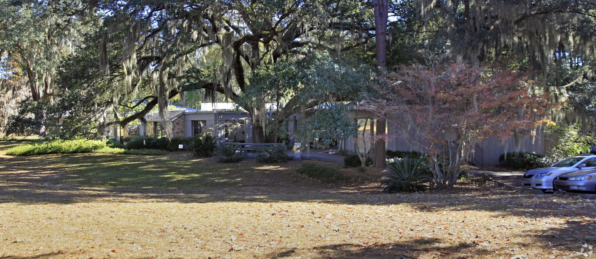 3159 Shamrock St, Tallahassee, FL for lease Primary Photo- Image 1 of 8