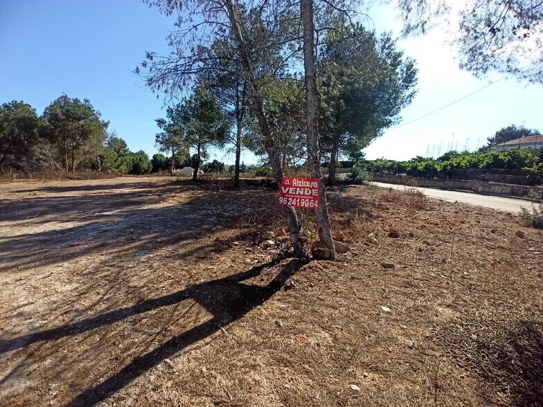 Land in Alberic, Valencia for sale - Primary Photo - Image 1 of 6