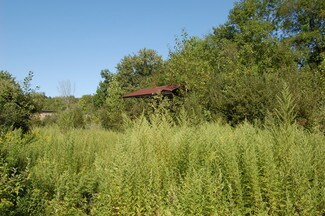 Plus de détails pour 329 Rt 52, Carmel, NY - Terrain à vendre