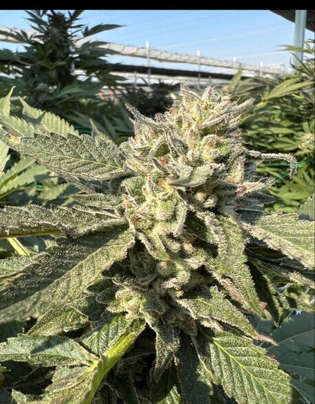 23855 Rd 12 NW, Quincy, WA à louer - Photo du bâtiment - Image 2 de 15