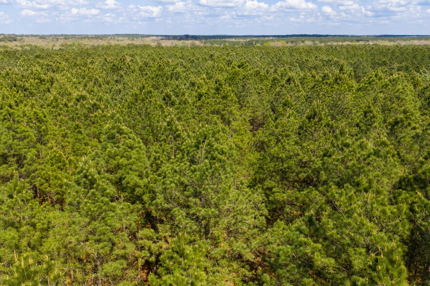 HWY 7, Mount Holly, AR à vendre - Photo du bâtiment - Image 3 de 16