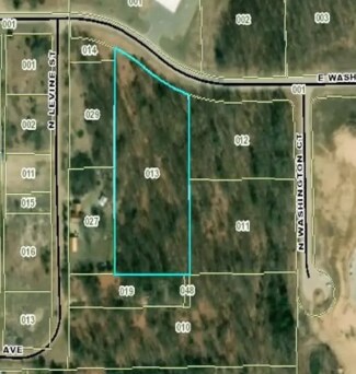 Plus de détails pour 1312 E Washington St, White Cloud, MI - Terrain à vendre