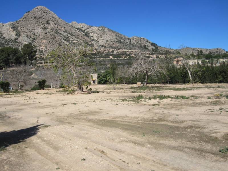 Terrain dans Novelda, Alicante à vendre Plan de site- Image 1 de 5