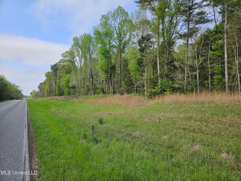 0 Hwy 43, Silver Creek, MS à vendre - Photo du bâtiment - Image 3 de 5