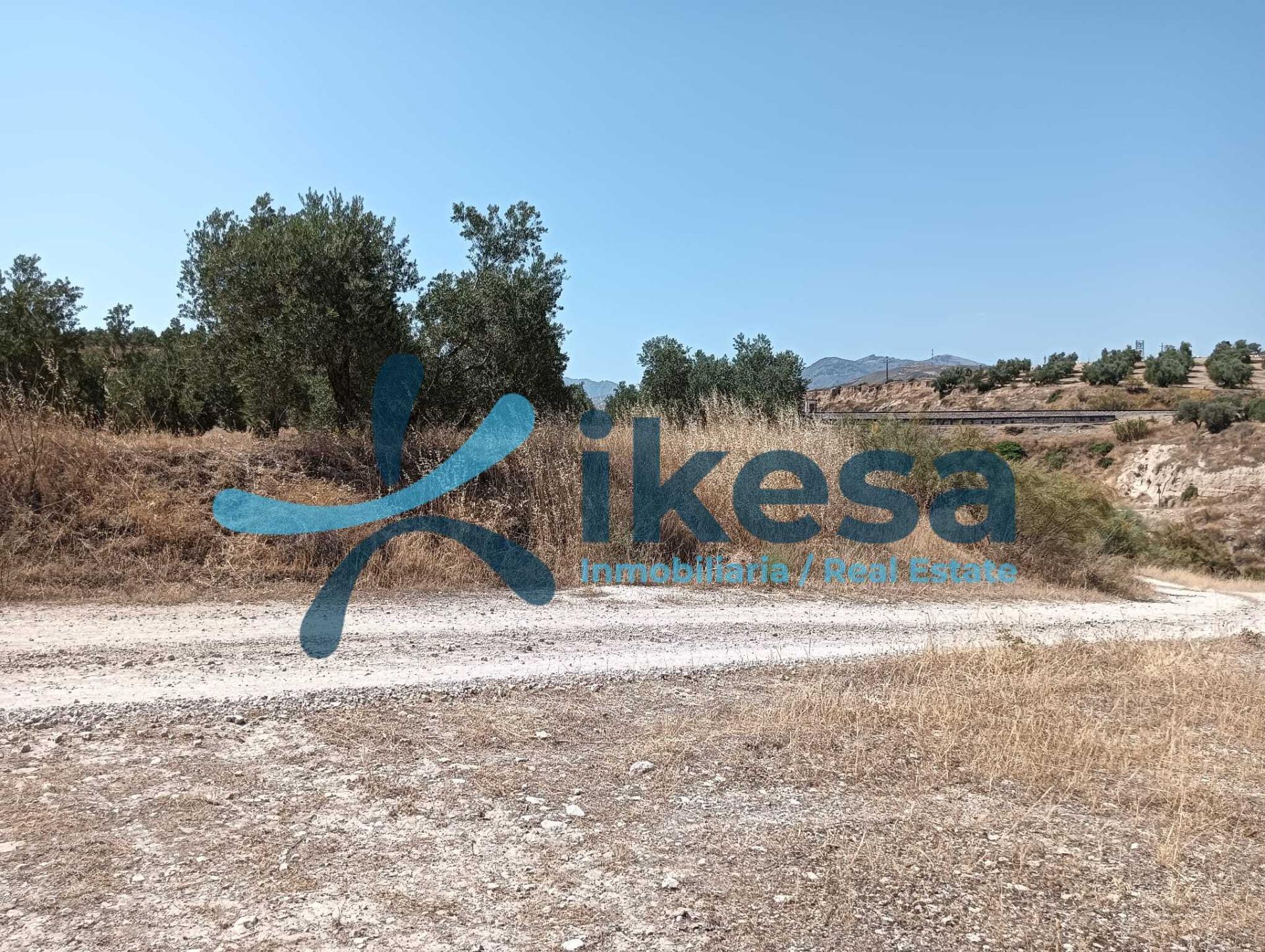Land in Jódar, Jaén for sale Building Photo- Image 1 of 17
