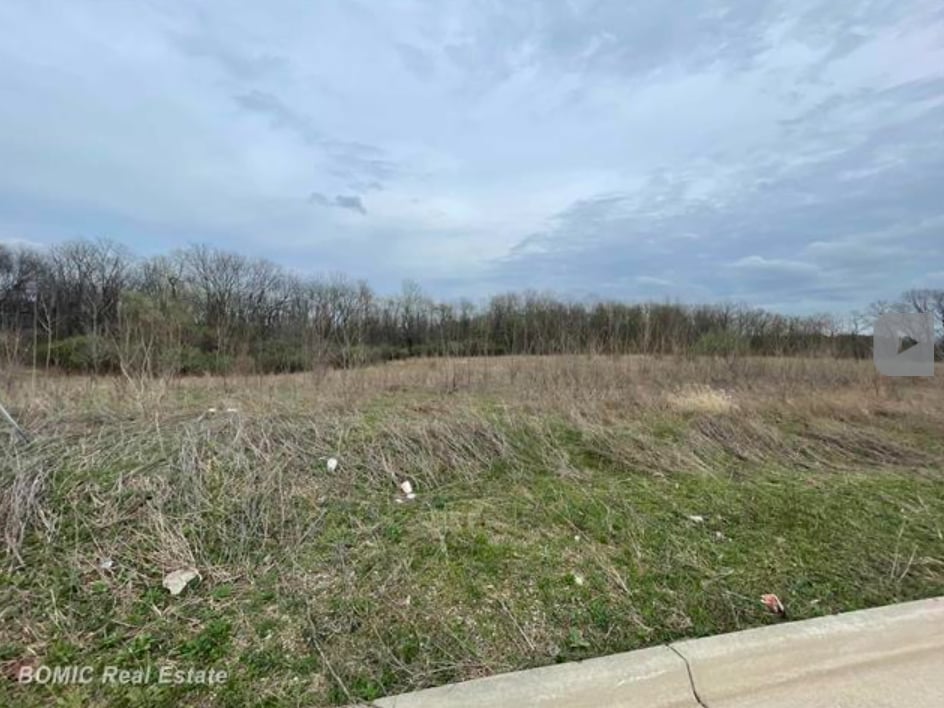 Harvest Park Drive, Dimondale, MI for sale Primary Photo- Image 1 of 2