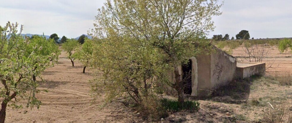 Land in San José, Yecla, Ayuntamiento, MURCIA for sale - Building Photo - Image 3 of 7