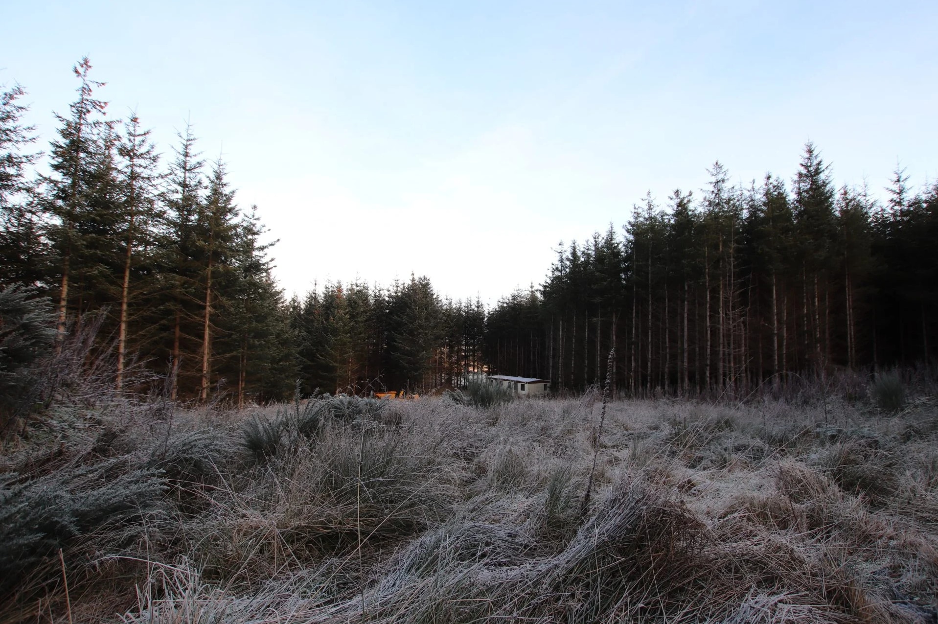 Meikle Cantlay, Keith for sale Other- Image 1 of 5