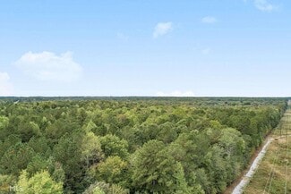 More details for GA Hwy 85 S, Senoia, GA - Land for Sale