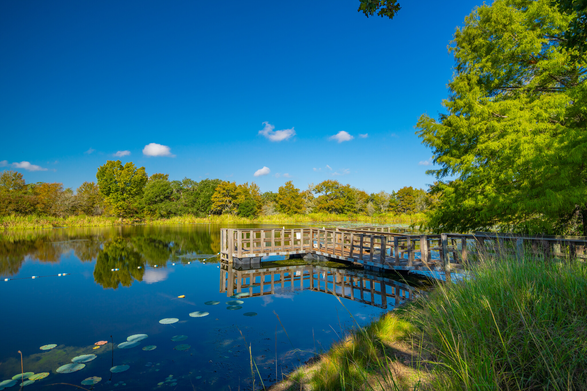 2001 Waldeck Rd, Ledbetter, TX for sale Other- Image 1 of 54