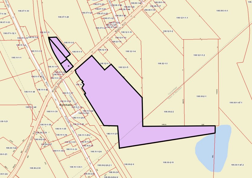 320 Maple Ave, Cassadaga, NY for sale - Building Photo - Image 2 of 49