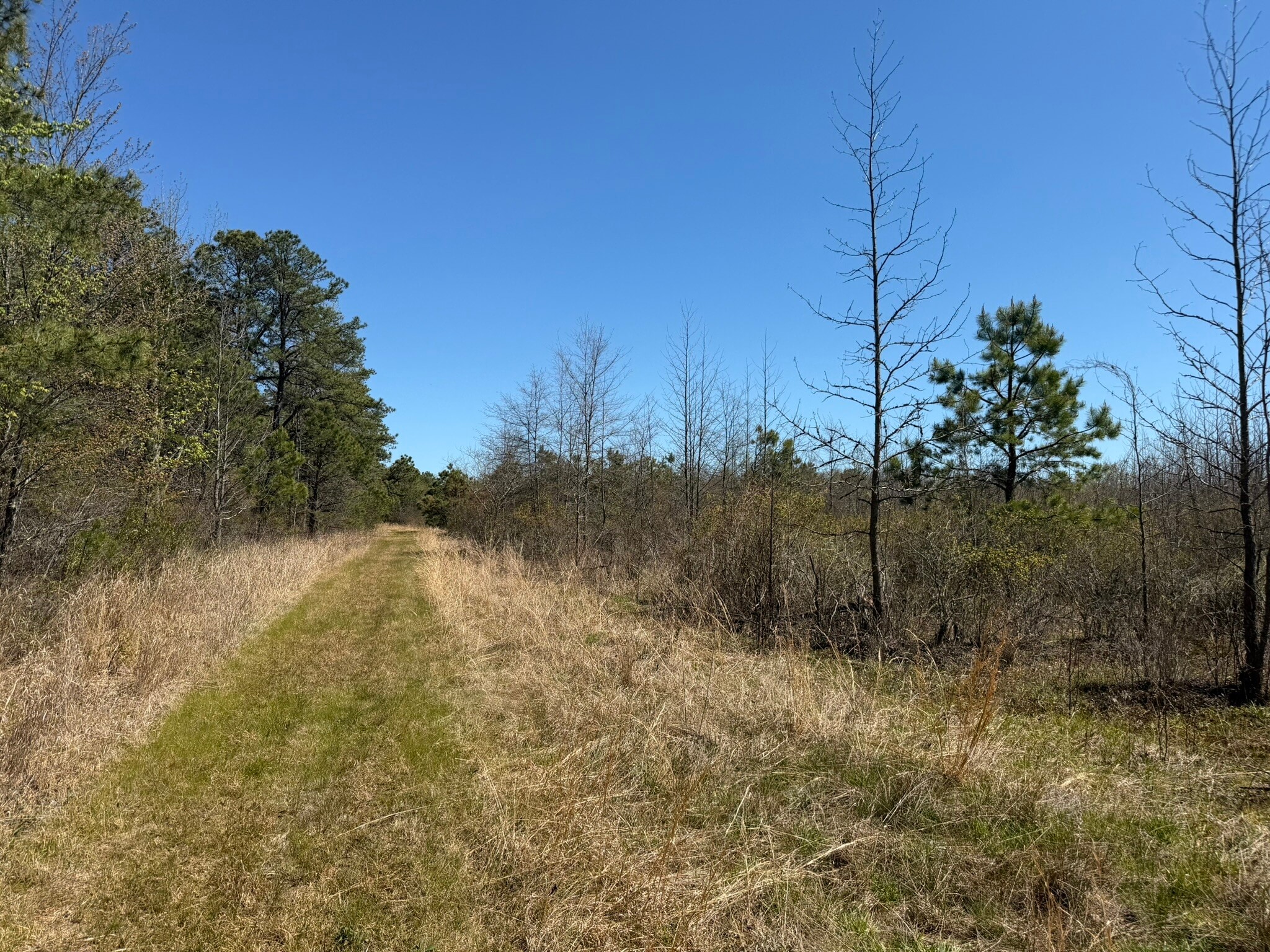 Sheeppenhill Road, Pemberton, NJ for sale Primary Photo- Image 1 of 5