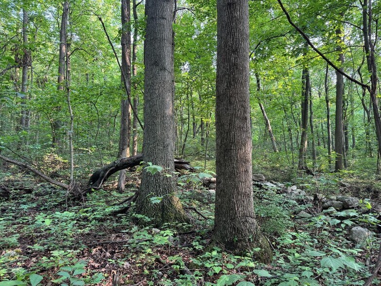 Mountain Green Road, Willow Hill, PA for sale - Building Photo - Image 2 of 2