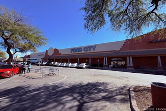 Plus de détails pour 251-492 Grand Court Plaza Dr, Nogales, AZ - Commerce de détail à louer