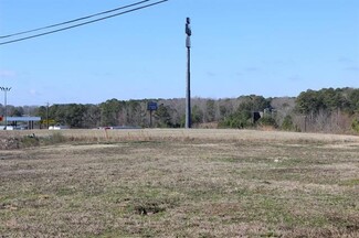 Plus de détails pour 352 Super Saver Rd, Cullman, AL - Terrain à vendre