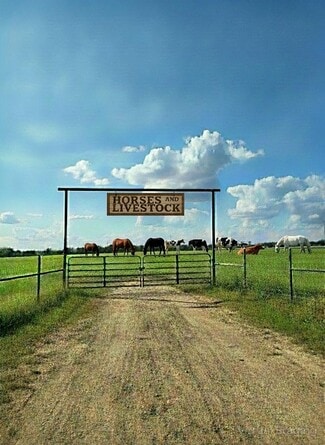 Plus de détails pour 2838 County 201 rd, Cameron, TX - Terrain à vendre