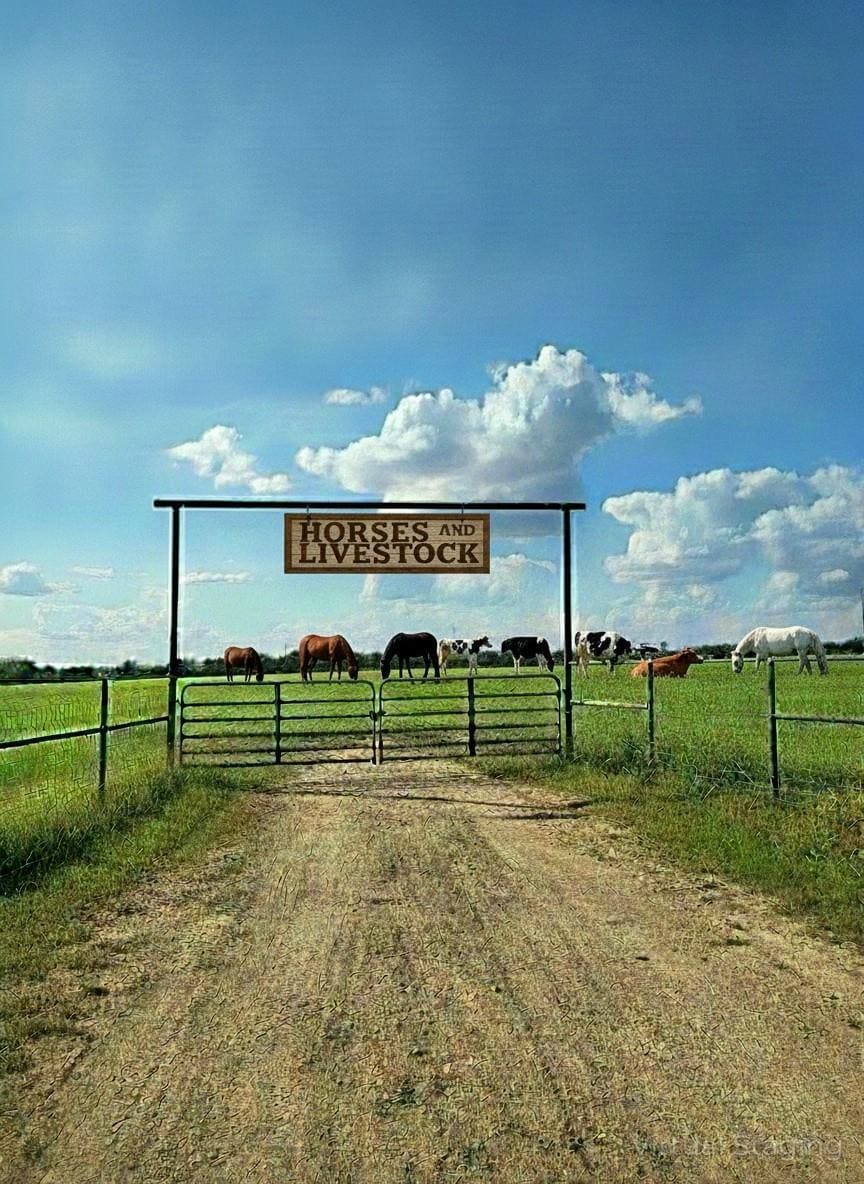 2838 County 201 rd, Cameron, TX for sale Primary Photo- Image 1 of 2