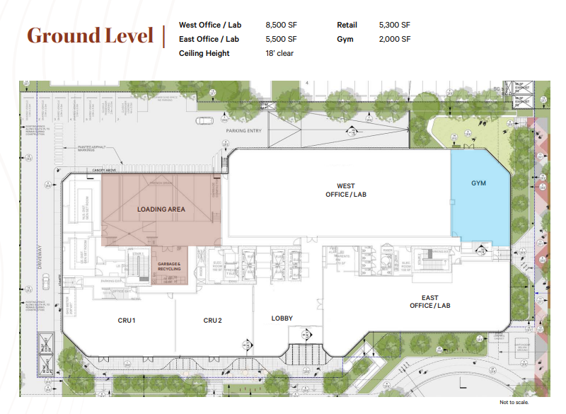 1629 Scotia St, Vancouver, BC for lease Floor Plan- Image 1 of 1