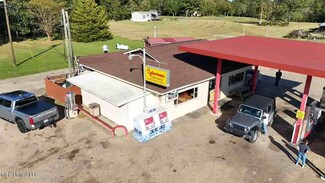 Plus de détails pour 29079 Highway 18 E, Raleigh, MS - Vente au détail à vendre