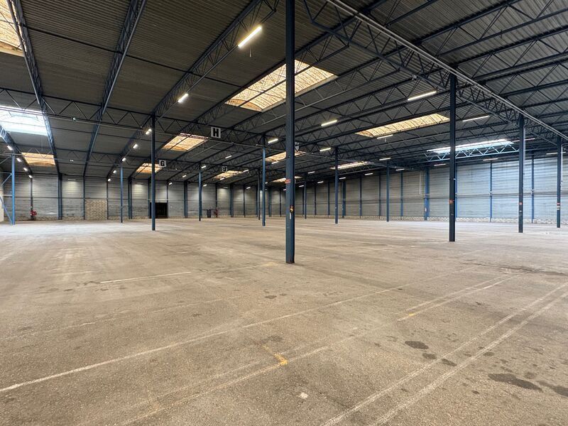 Flex in Corbas for lease Building Photo- Image 1 of 12