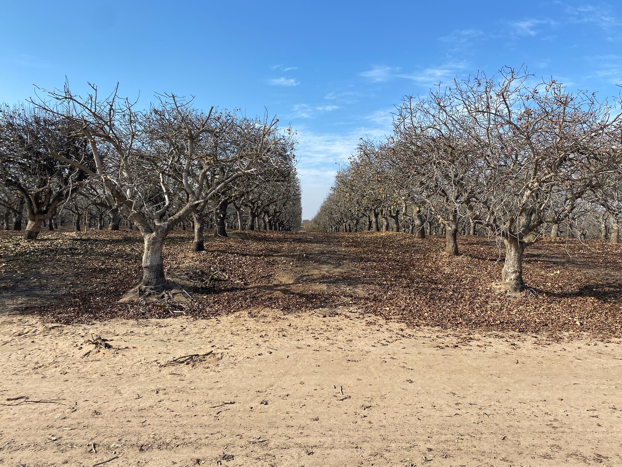 SWC of Rd. 28 & Ave. 20 1/2, Madera, CA for sale Primary Photo- Image 1 of 5