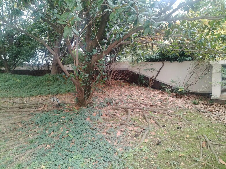 45 Rue Sully, Lyon à louer - Photo du bâtiment - Image 3 de 4