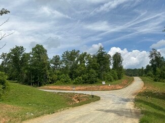 More details for Hwy 515, Morganton, GA - Land for Sale