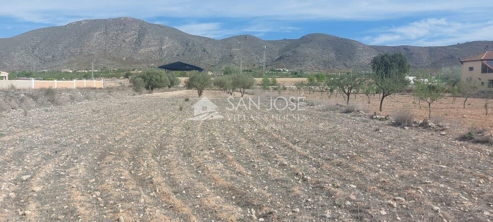 Terrain dans Hondón de los Frailes, Alicante à vendre - Plan de site - Image 2 de 2