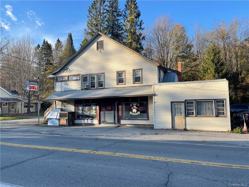 164 Main street, Grahamsville, NY à vendre Photo principale- Image 1 de 1