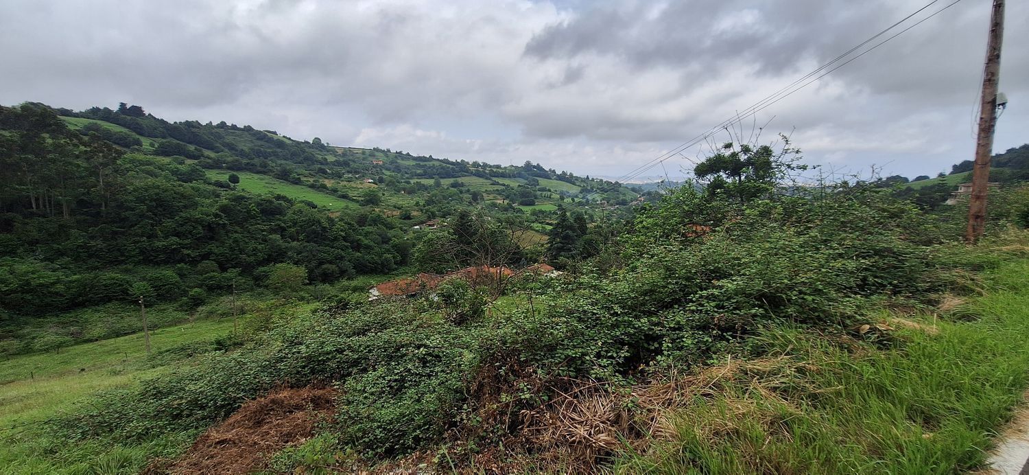 Camín del Pioyu, S/N, Gijón, Asturias for sale Building Photo- Image 1 of 23