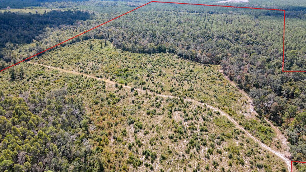 TBD NE 36th Drive Dr, Jasper, FL à vendre - Photo du bâtiment - Image 3 de 26