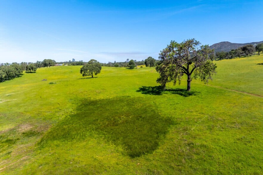 8591 Hogan Dam Rd, Valley Springs, CA à vendre - Photo du bâtiment - Image 2 de 85