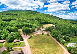 More details for 226 NY-296 Rt, Windham, NY - Hospitality for Sale