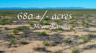 Plus de détails pour County Road 124, Verhalen, TX - Terrain à vendre