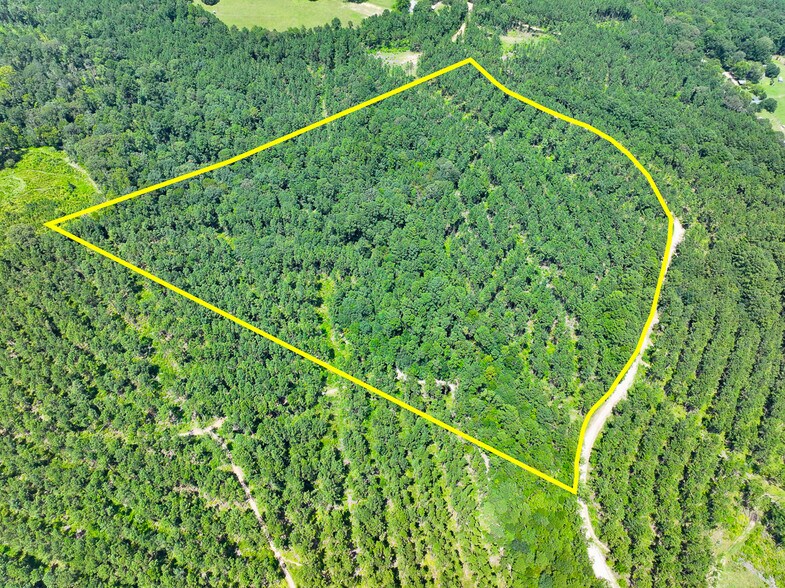 0 Slim Palmer Road, Zavalla, TX à vendre - Photo du bâtiment - Image 2 de 20