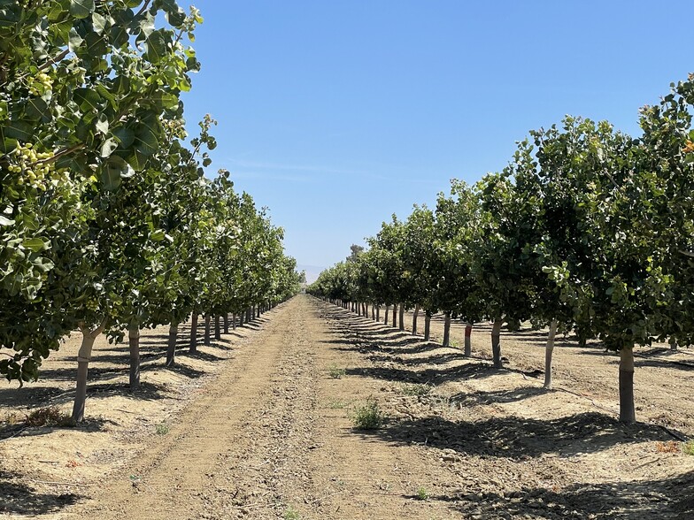 45900 Block Shields Ave, Firebaugh, CA for sale - Building Photo - Image 1 of 1