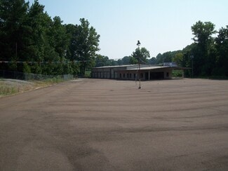 Plus de détails pour 95 Pleasant Hill Rd, Nesbit, MS - Terrain à louer