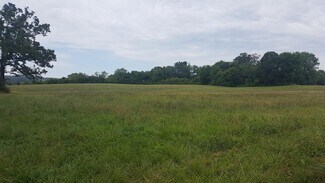 Plus de détails pour 80 School House Rd, Mills River, NC - Terrain à vendre