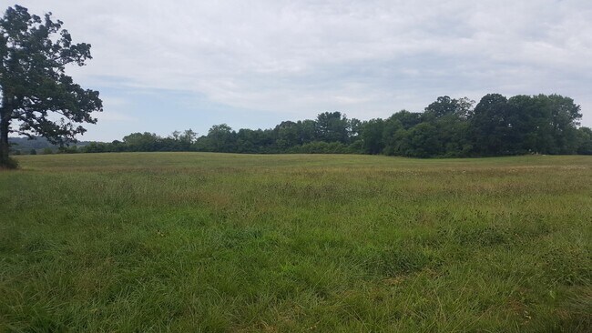 More details for 80 School House Rd, Mills River, NC - Land for Sale