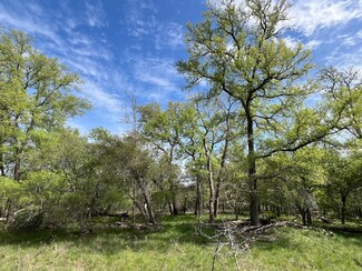 Plus de détails pour Cunningham Dr Dr, Lockhart, TX - Terrain à vendre