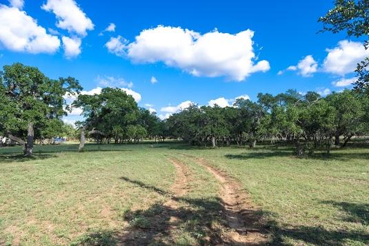 346 Ammann Rd, Boerne, TX for sale - Building Photo - Image 2 of 7