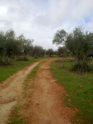 Plus de détails pour Paraje Guijarro, Caceres, Carretera de, Cáceres - Terrain à vendre