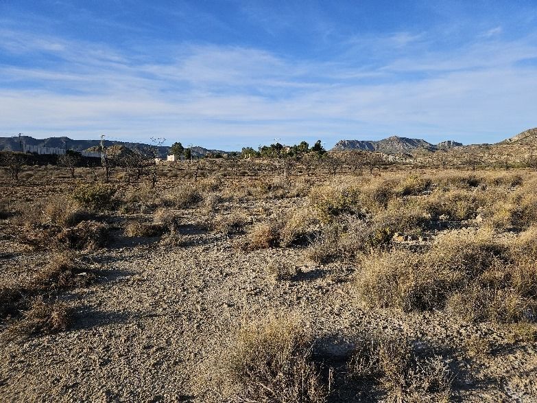 Carrer Paquito Vera, Elda, Alicante à vendre - Plan de site - Image 3 de 5