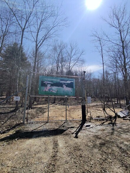 127 Blum Rd, Equinunk, PA à vendre - Photo du bâtiment - Image 1 de 12